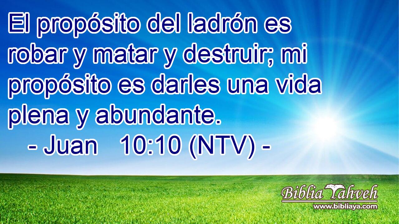 El propósito del ladrón es robar y matar y destruir; mi propósito es darles una vida plena y abundante.