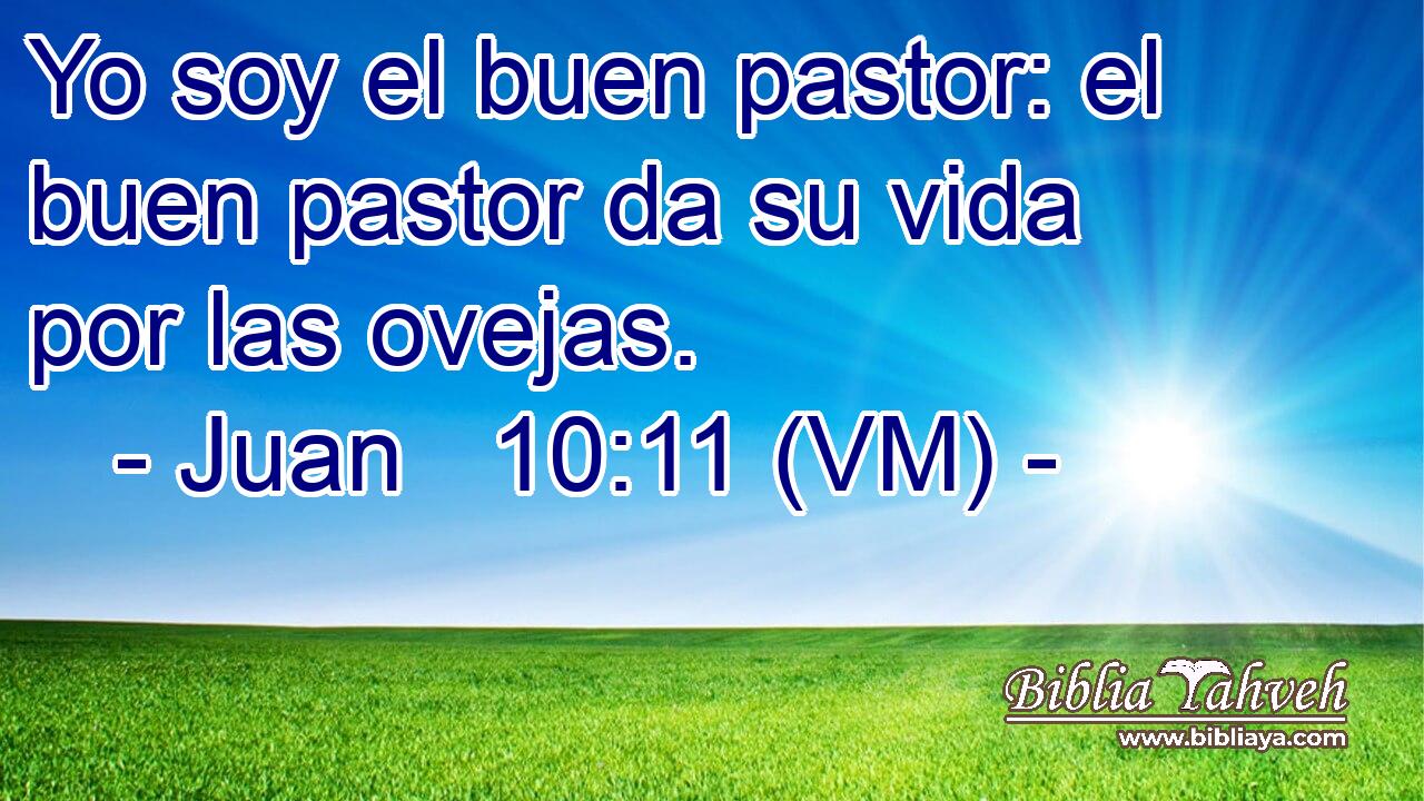  Yo soy el buen pastor: el buen pastor da su vida por las ovejas. 