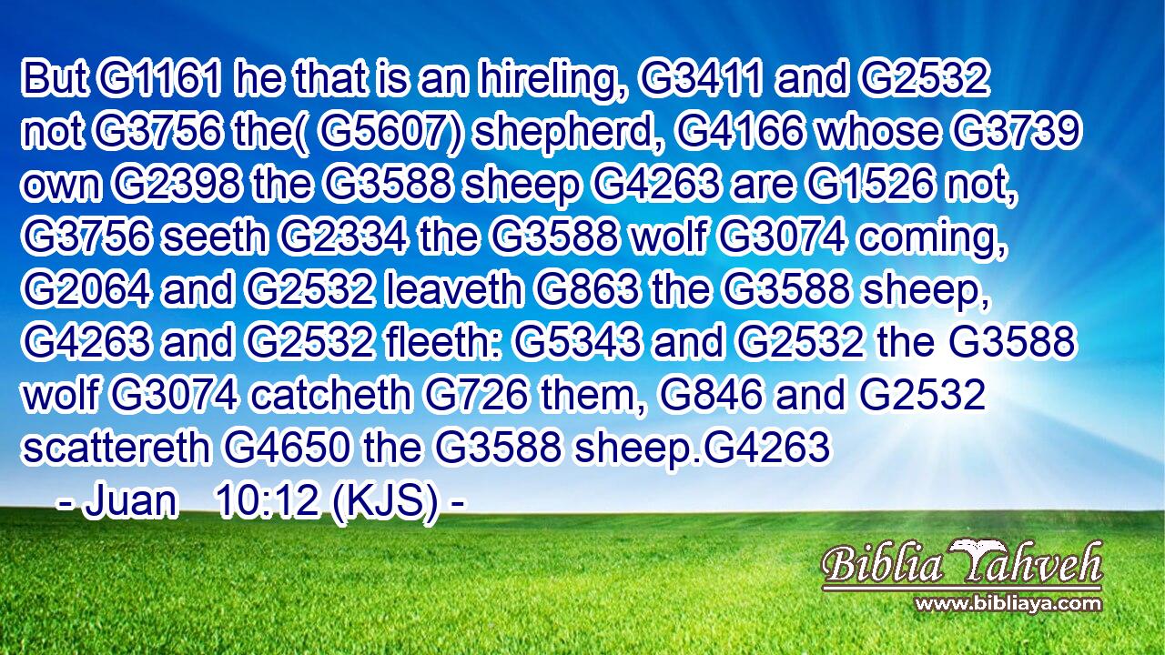 But G1161 he that is an hireling, G3411 and G2532 not G3756 the( G5607) shepherd, G4166 whose G3739 own G2398 the G3588 sheep G4263 are G1526 not, G3756 seeth G2334 the G3588 wolf G3074 coming, G2064 and G2532 leaveth G863 the G3588 sheep, G4263 and G2532 fleeth: G5343 and G2532 the G3588 wolf G3074 catcheth G726 them, G846 and G2532 scattereth G4650 the G3588 sheep.G4263