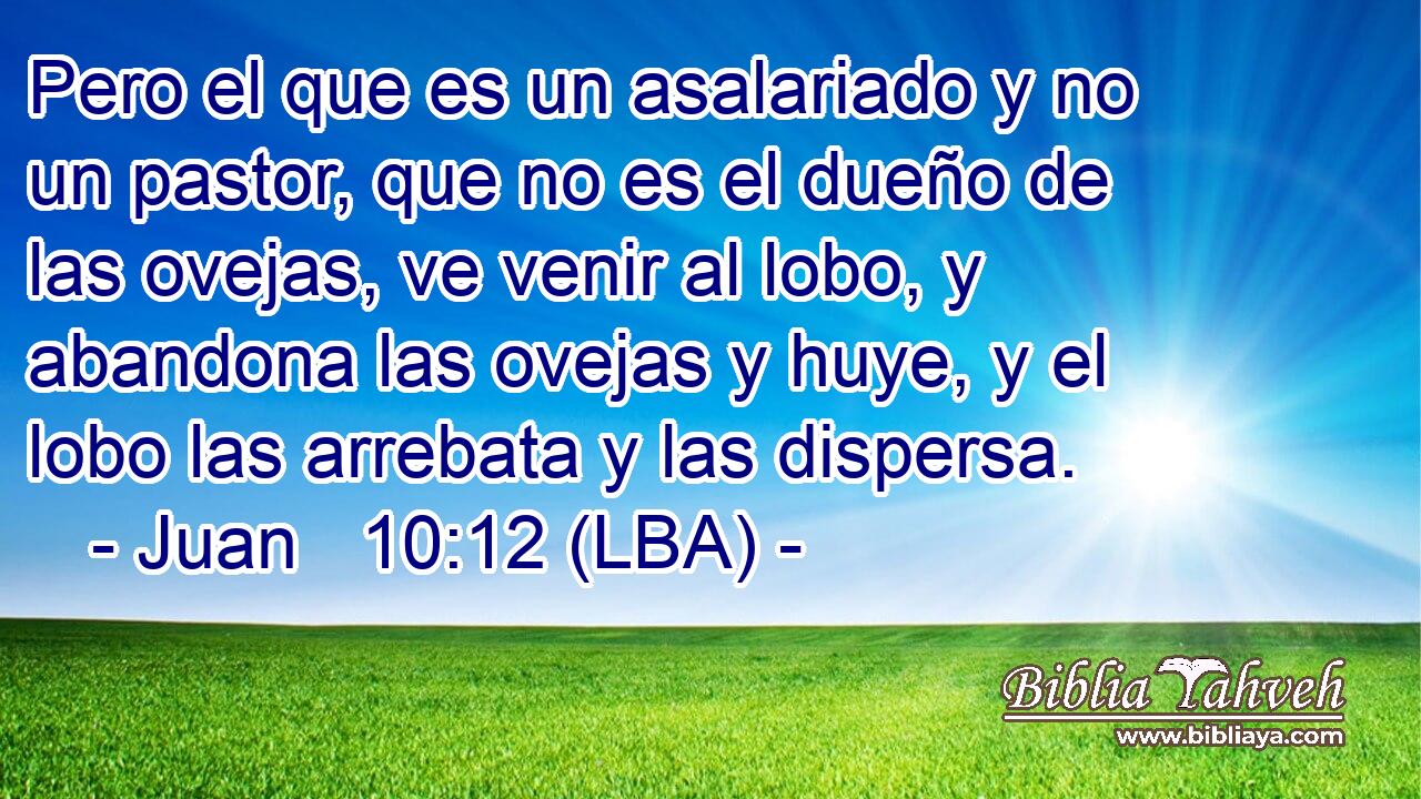 Pero el que es un asalariado y no un pastor, que no es el dueño de las ovejas, ve venir al lobo, y abandona las ovejas y huye, y el lobo las arrebata y las dispersa.