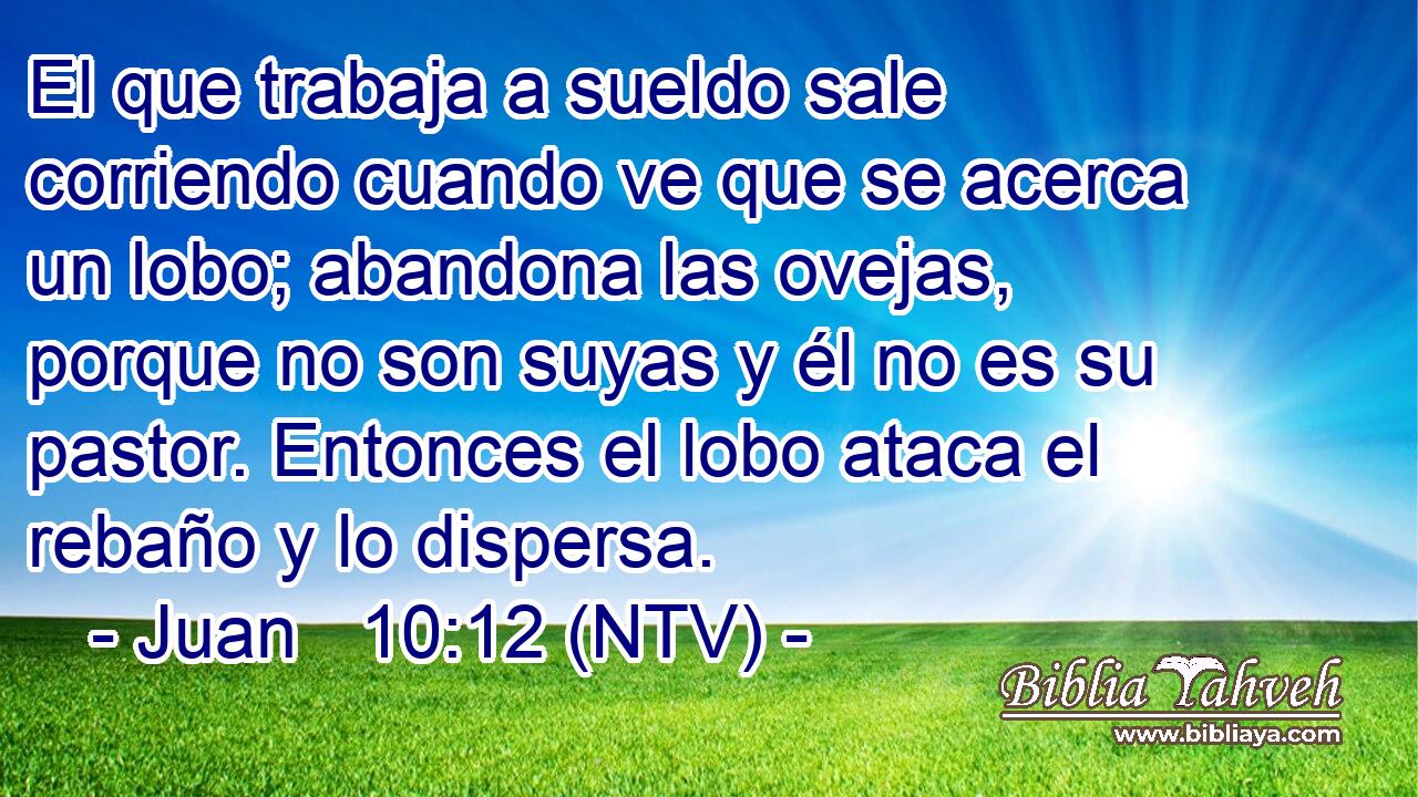 El que trabaja a sueldo sale corriendo cuando ve que se acerca un lobo; abandona las ovejas, porque no son suyas y él no es su pastor. Entonces el lobo ataca el rebaño y lo dispersa.