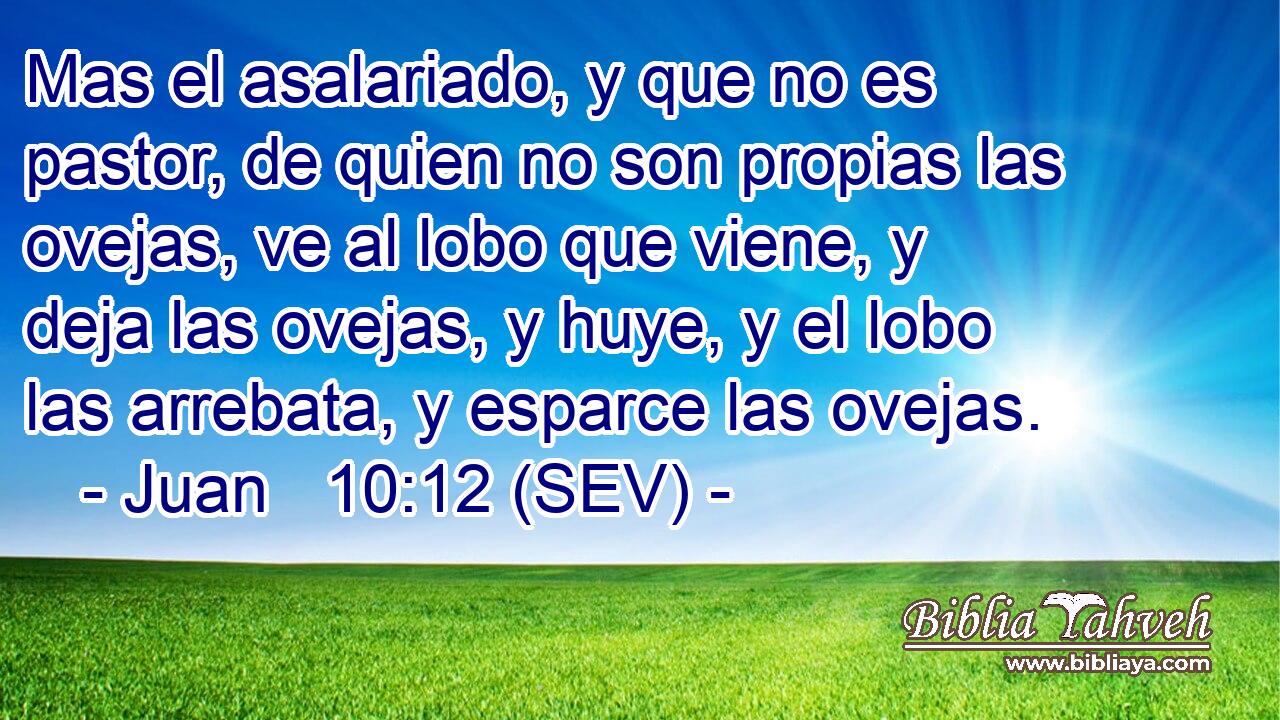 Mas el asalariado, y que no es pastor, de quien no son propias las ovejas, ve al lobo que viene, y deja las ovejas, y huye, y el lobo las arrebata, y esparce las ovejas.