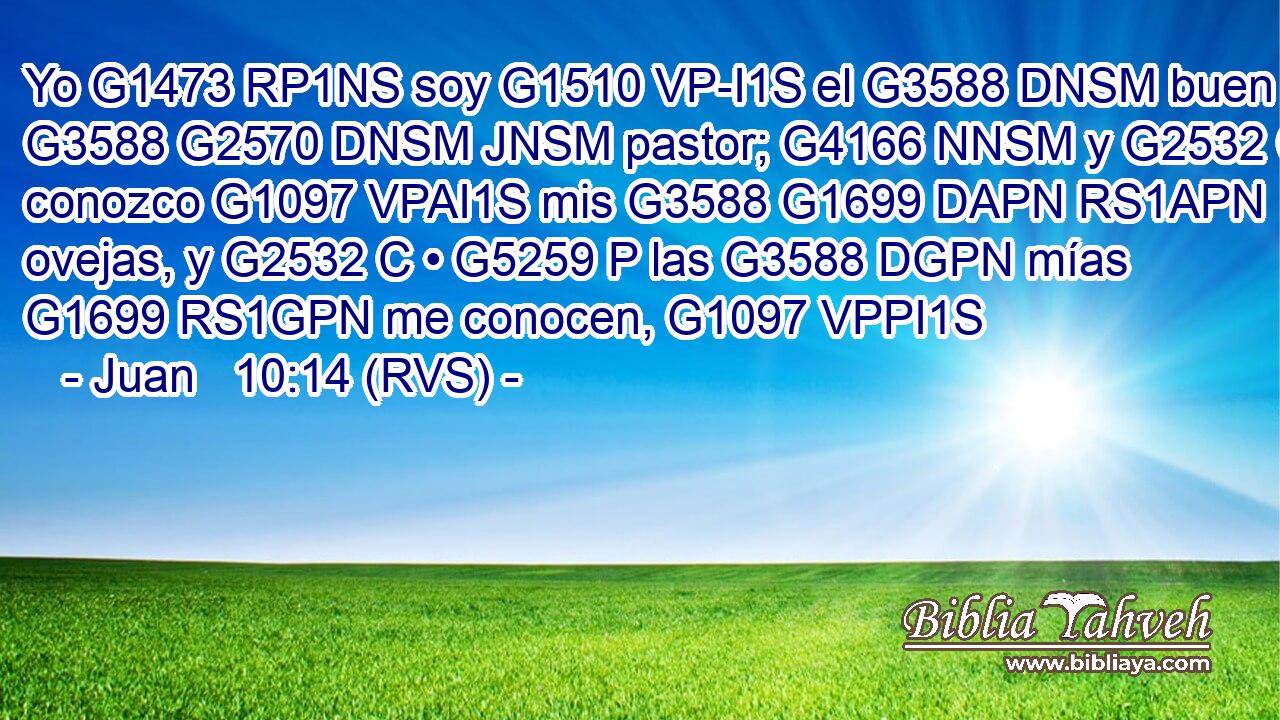 Yo G1473 RP1NS soy G1510 VP-I1S el G3588 DNSM buen G3588 G2570 DNSM JNSM pastor; G4166 NNSM y G2532 C conozco G1097 VPAI1S mis G3588 G1699 DAPN RS1APN ovejas, y G2532 C • G5259 P las G3588 DGPN mías G1699 RS1GPN me conocen, G1097 VPPI1S 