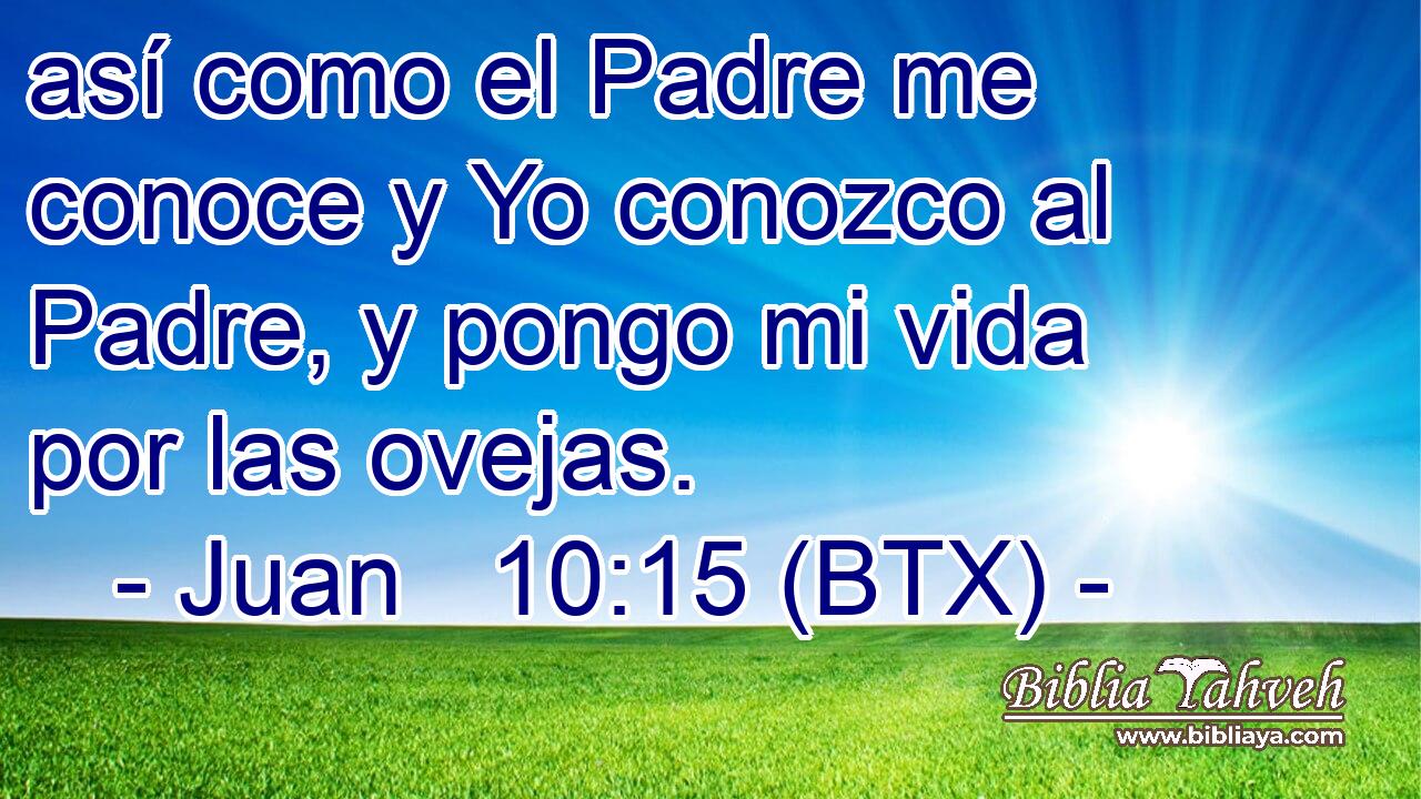 así como el Padre me conoce y Yo conozco al Padre, y pongo mi vida por las ovejas.