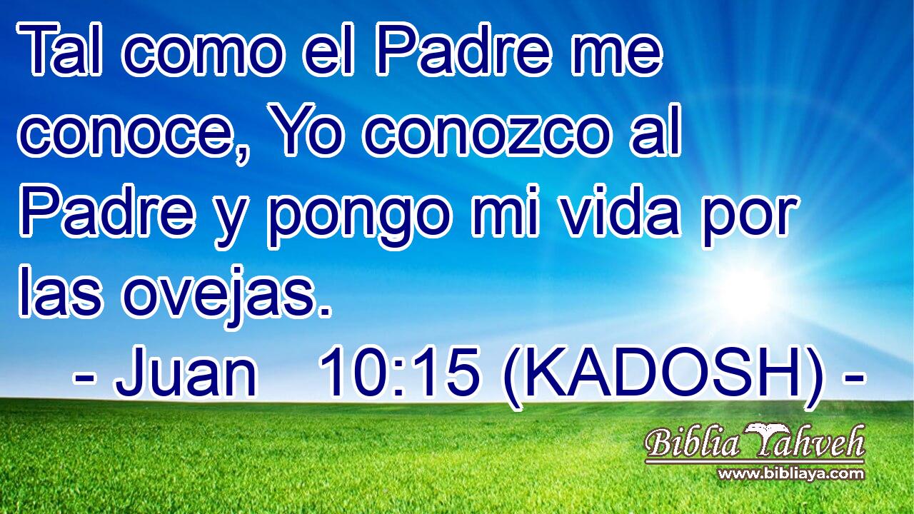  Tal como el Padre me conoce, Yo conozco al Padre y pongo mi vida por las ovejas. 