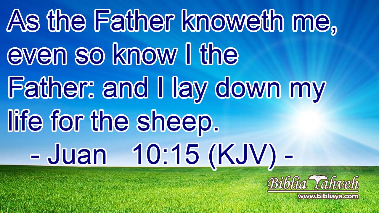 As the Father knoweth me, even so know I the Father: and I lay down my life for the sheep.