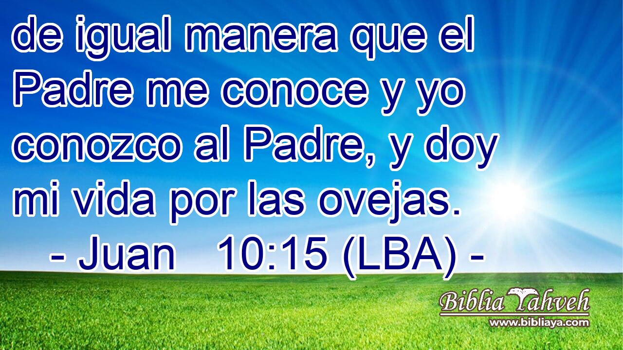 de igual manera que el Padre me conoce y yo conozco al Padre, y doy mi vida por las ovejas.