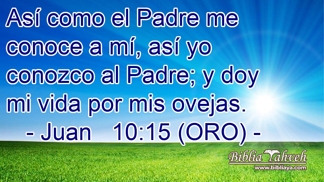 Así como el Padre me conoce a mí, así yo conozco al Padre; y doy mi vida por mis ovejas. 