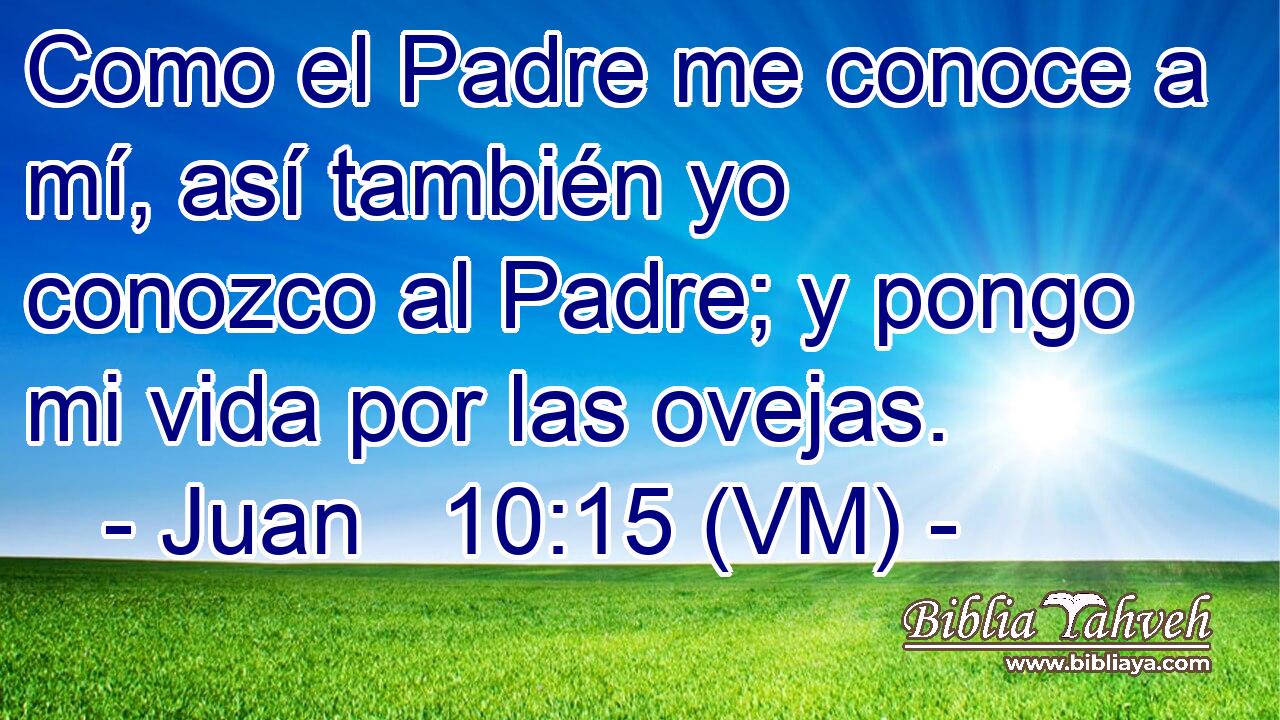  Como el Padre me conoce a mí, así también yo conozco al Padre; y pongo mi vida por las ovejas. 