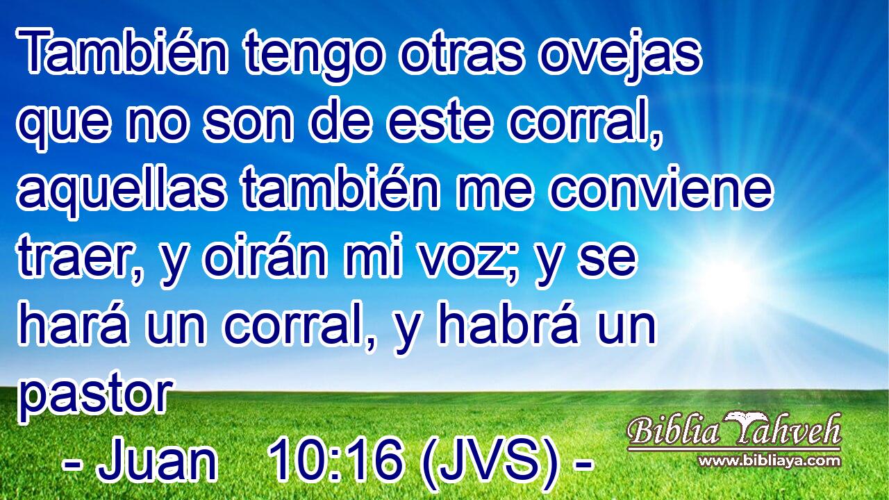 También tengo otras ovejas que no son de este corral, aquellas también me conviene traer, y oirán mi voz; y se hará un corral, y habrá un pastor