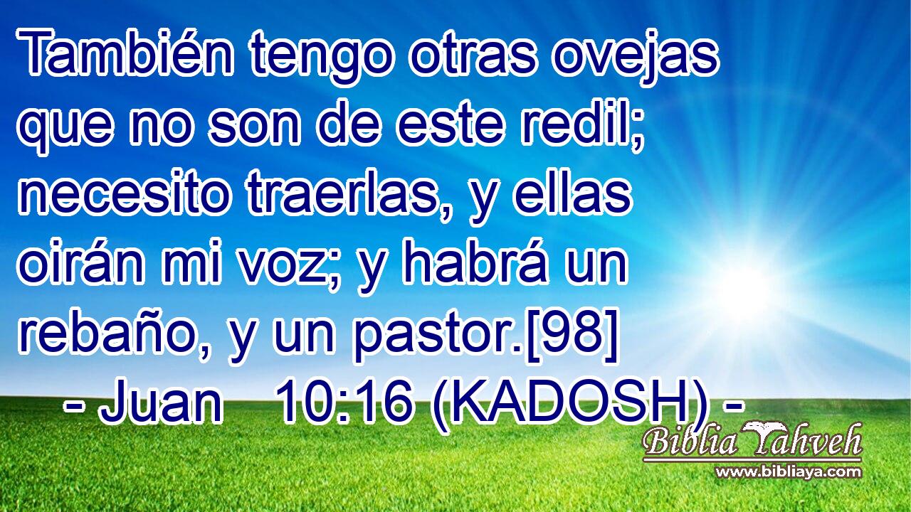  También tengo otras ovejas que no son de este redil; necesito traerlas, y ellas oirán mi voz; y habrá un rebaño, y un pastor.[98] 