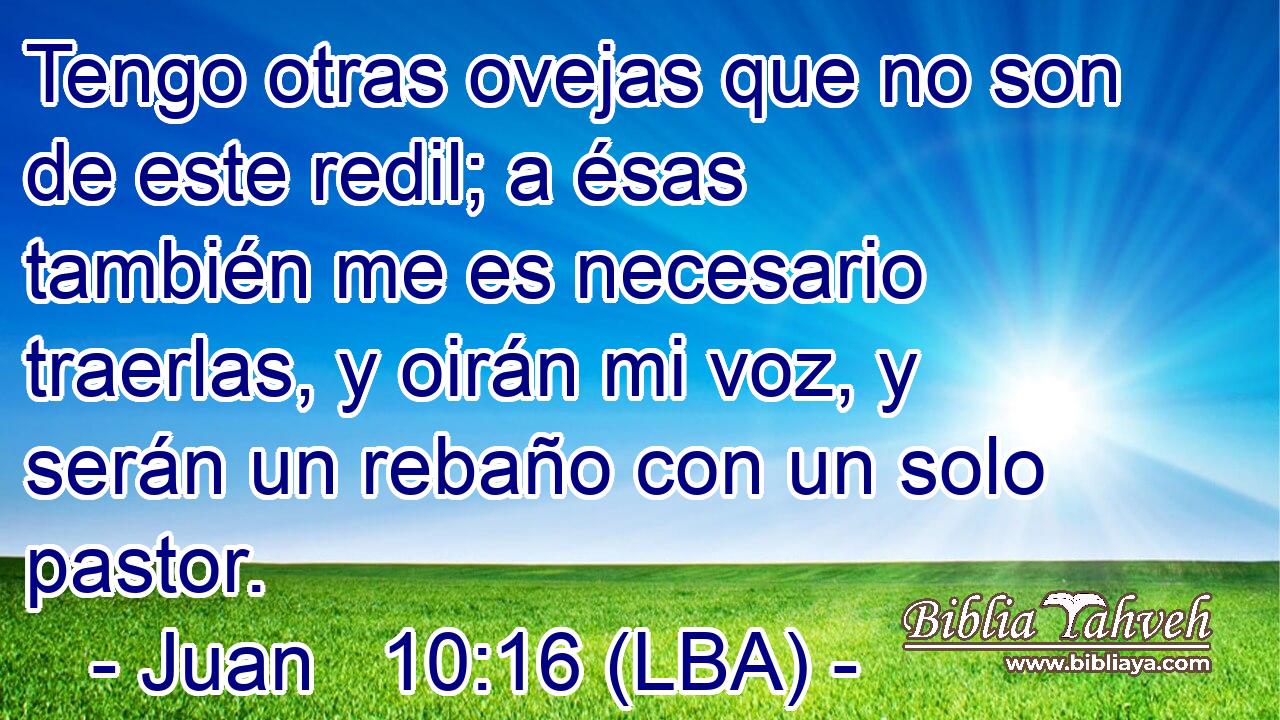 Tengo otras ovejas que no son de este redil; a ésas también me es necesario traerlas, y oirán mi voz, y serán un rebaño con un solo pastor.