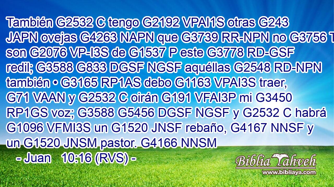 También G2532 C tengo G2192 VPAI1S otras G243 JAPN ovejas G4263 NAPN que G3739 RR-NPN no G3756 T son G2076 VP-I3S de G1537 P este G3778 RD-GSF redil; G3588 G833 DGSF NGSF aquéllas G2548 RD-NPN también • G3165 RP1AS debo G1163 VPAI3S traer, G71 VAAN y G2532 C oirán G191 VFAI3P mi G3450 RP1GS voz; G3588 G5456 DGSF NGSF y G2532 C habrá G1096 VFMI3S un G1520 JNSF rebaño, G4167 NNSF y un G1520 JNSM pastor. G4166 NNSM 
