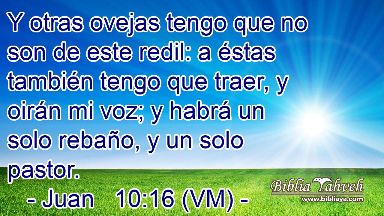  Y otras ovejas tengo que no son de este redil: a éstas también tengo que traer, y oirán mi voz; y habrá un solo rebaño, y un solo pastor. 