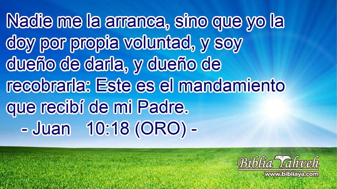  Nadie me la arranca, sino que yo la doy por propia voluntad, y soy dueño de darla, y dueño de recobrarla: Este es el mandamiento que recibí de mi Padre. 