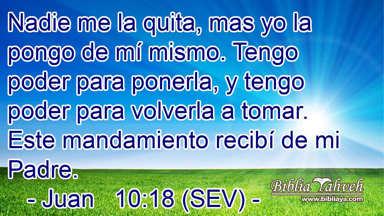 Nadie me la quita, mas yo la pongo de mí mismo. Tengo poder para ponerla, y tengo poder para volverla a tomar. Este mandamiento recibí de mi Padre.