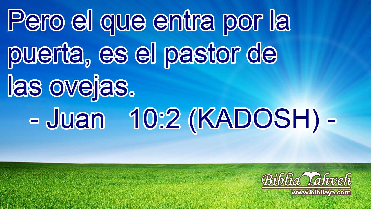  Pero el que entra por la puerta, es el pastor de las ovejas. 