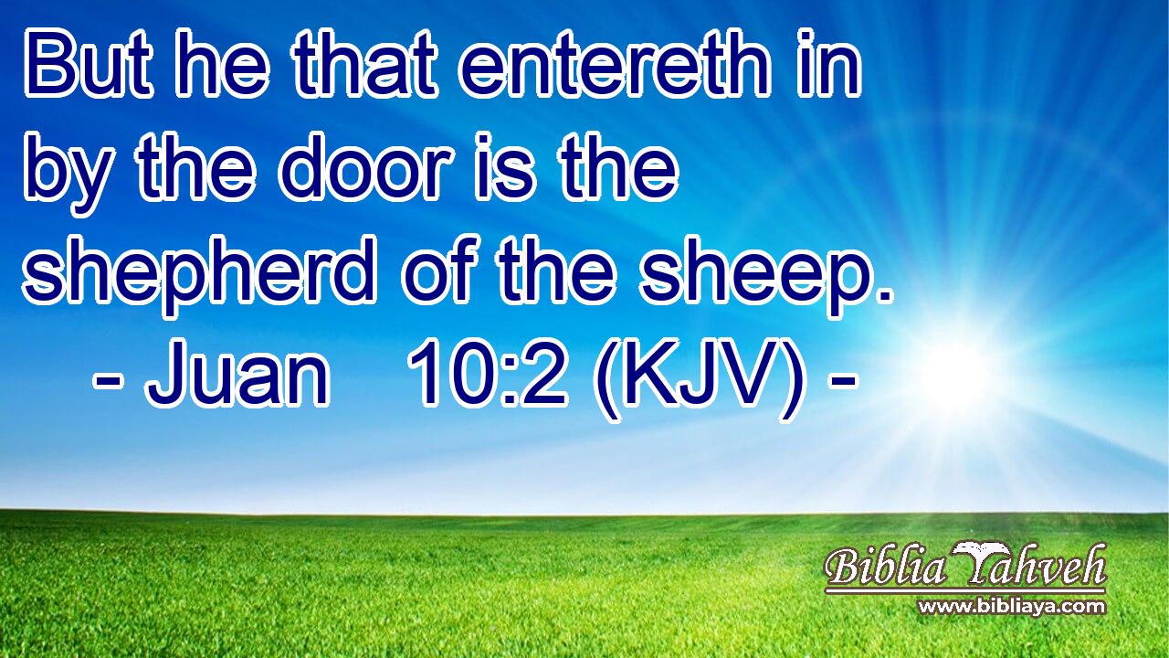 But he that entereth in by the door is the shepherd of the sheep.