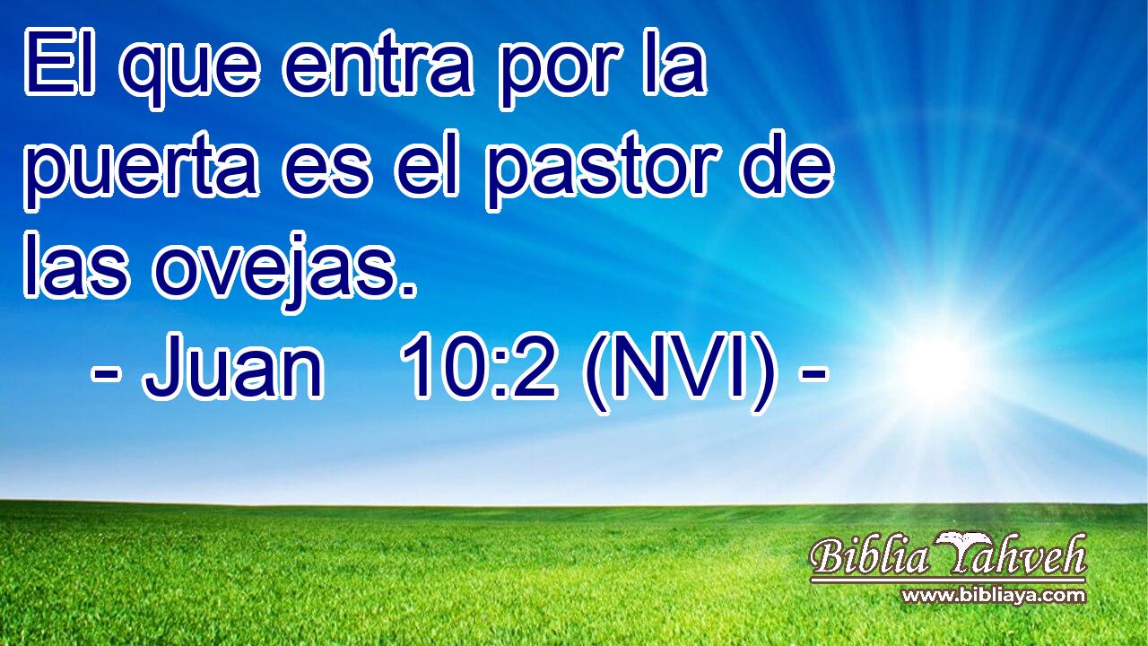  El que entra por la puerta es el pastor de las ovejas. 
