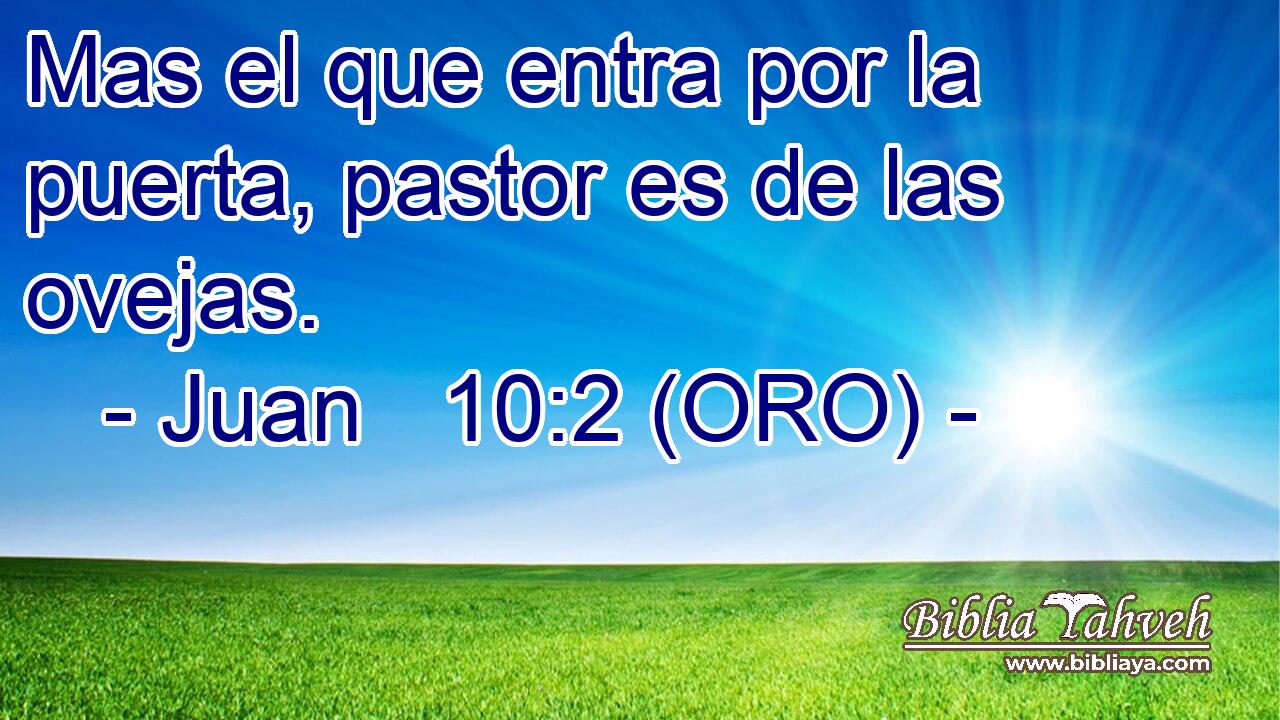  Mas el que entra por la puerta, pastor es de las ovejas. 