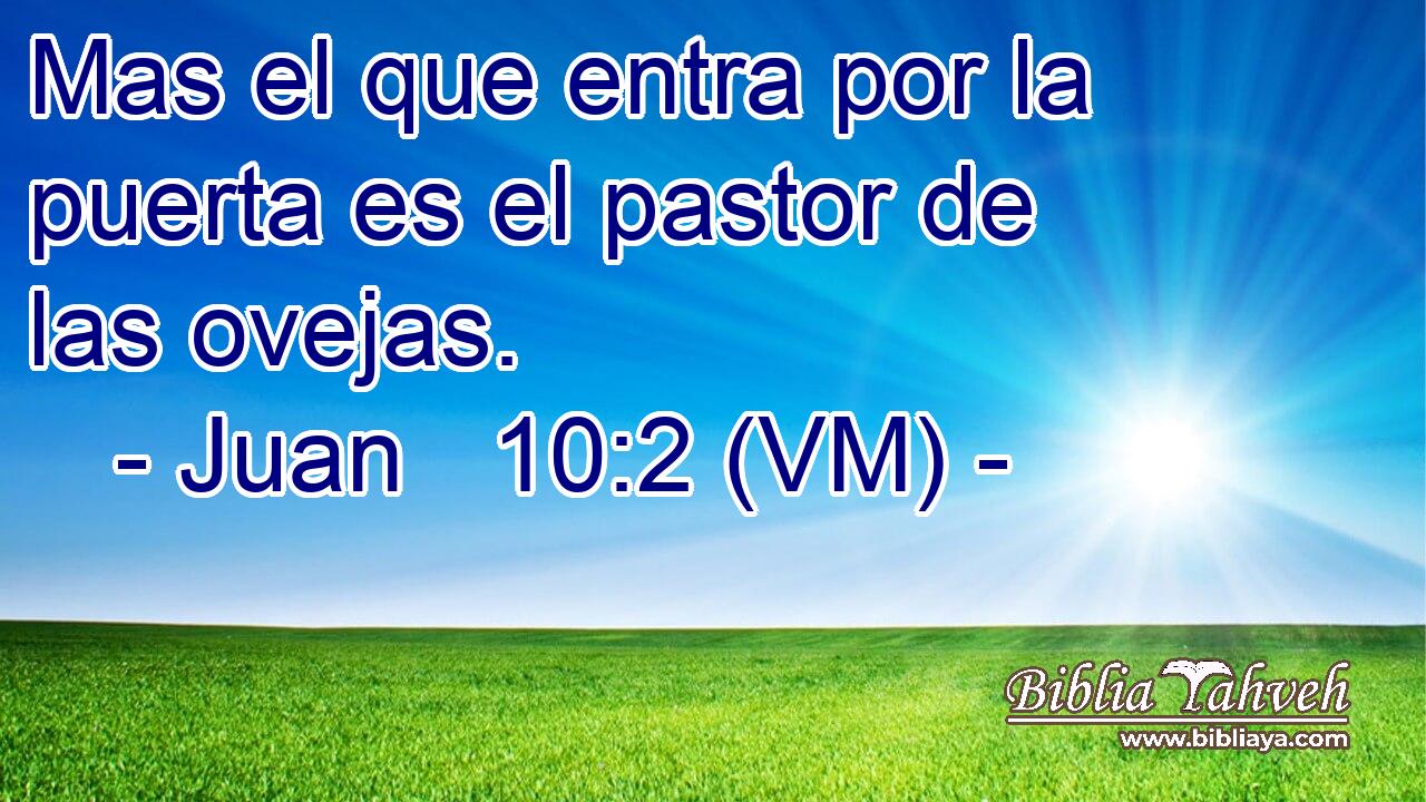  Mas el que entra por la puerta es el pastor de las ovejas. 