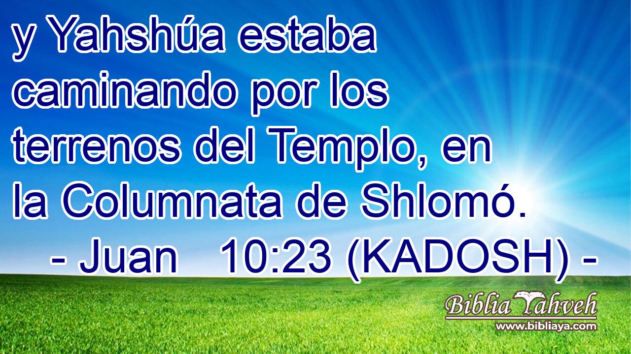  y Yahshúa estaba caminando por los terrenos del Templo, en la Columnata de Shlomó. 