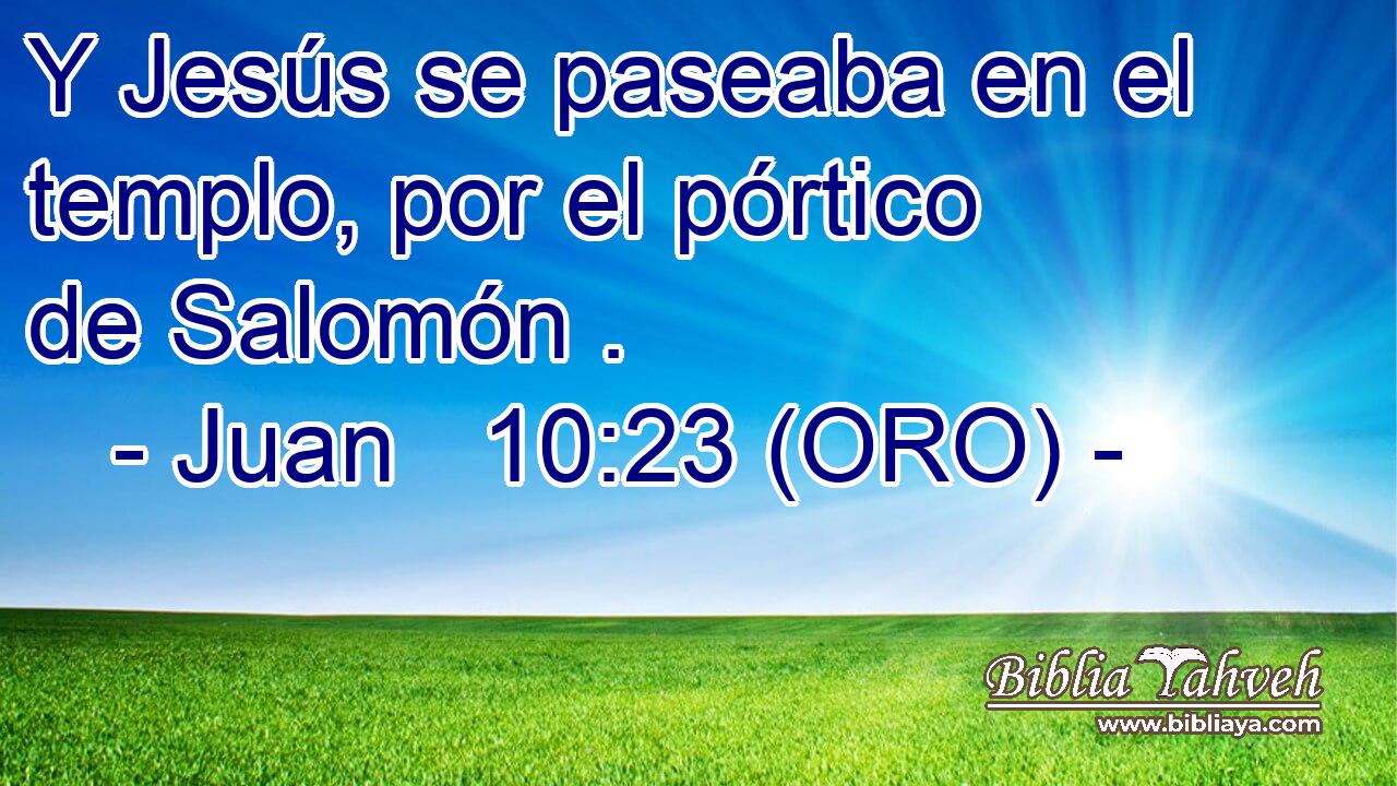 Y Jesús se paseaba en el templo, por el pórtico de Salomón . 