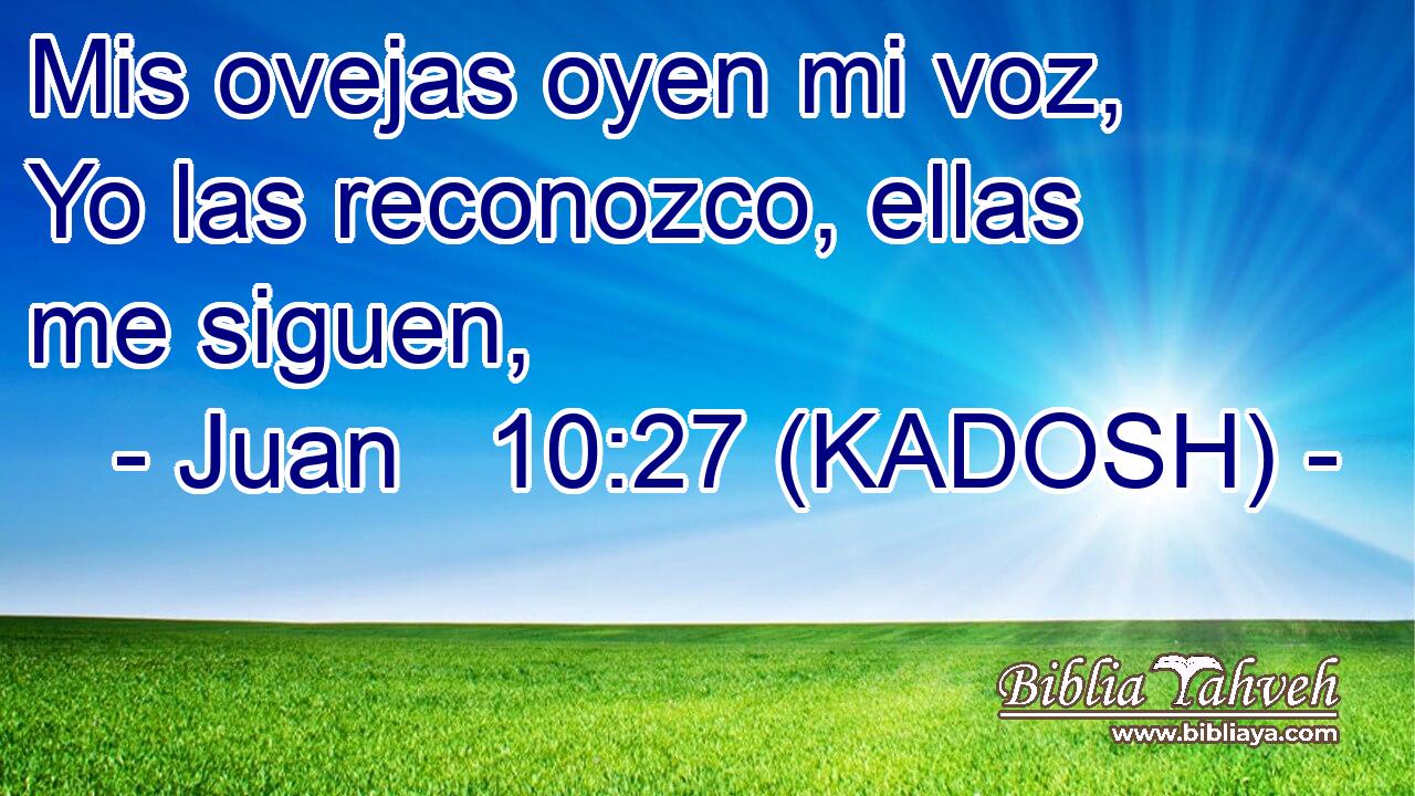 Mis ovejas oyen mi voz, Yo las reconozco, ellas me siguen, 