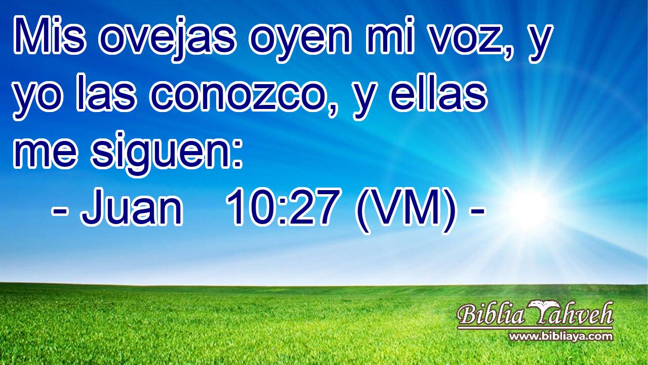 Mis ovejas oyen mi voz, y yo las conozco, y ellas me siguen: 