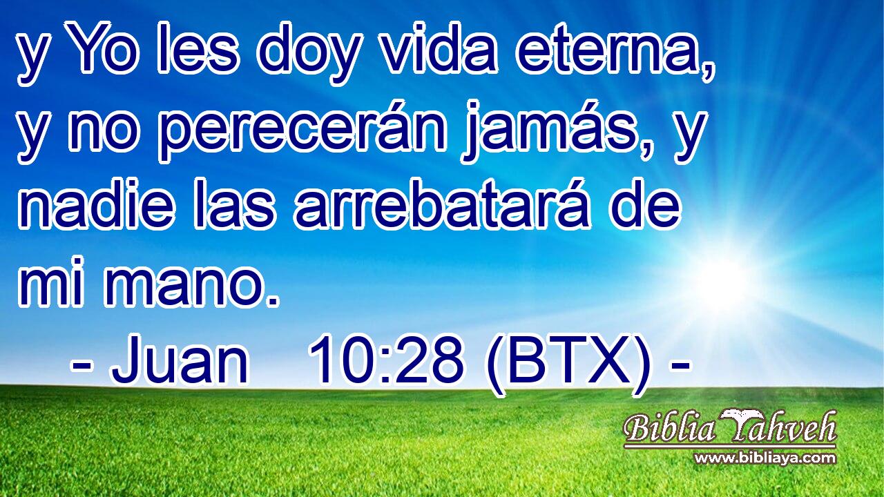 y Yo les doy vida eterna, y no perecerán jamás, y nadie las arrebatará de mi mano.