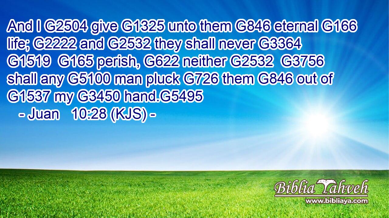 And I G2504 give G1325 unto them G846 eternal G166 life; G2222 and G2532 they shall never G3364  G1519  G165 perish, G622 neither G2532  G3756 shall any G5100 man pluck G726 them G846 out of G1537 my G3450 hand.G5495