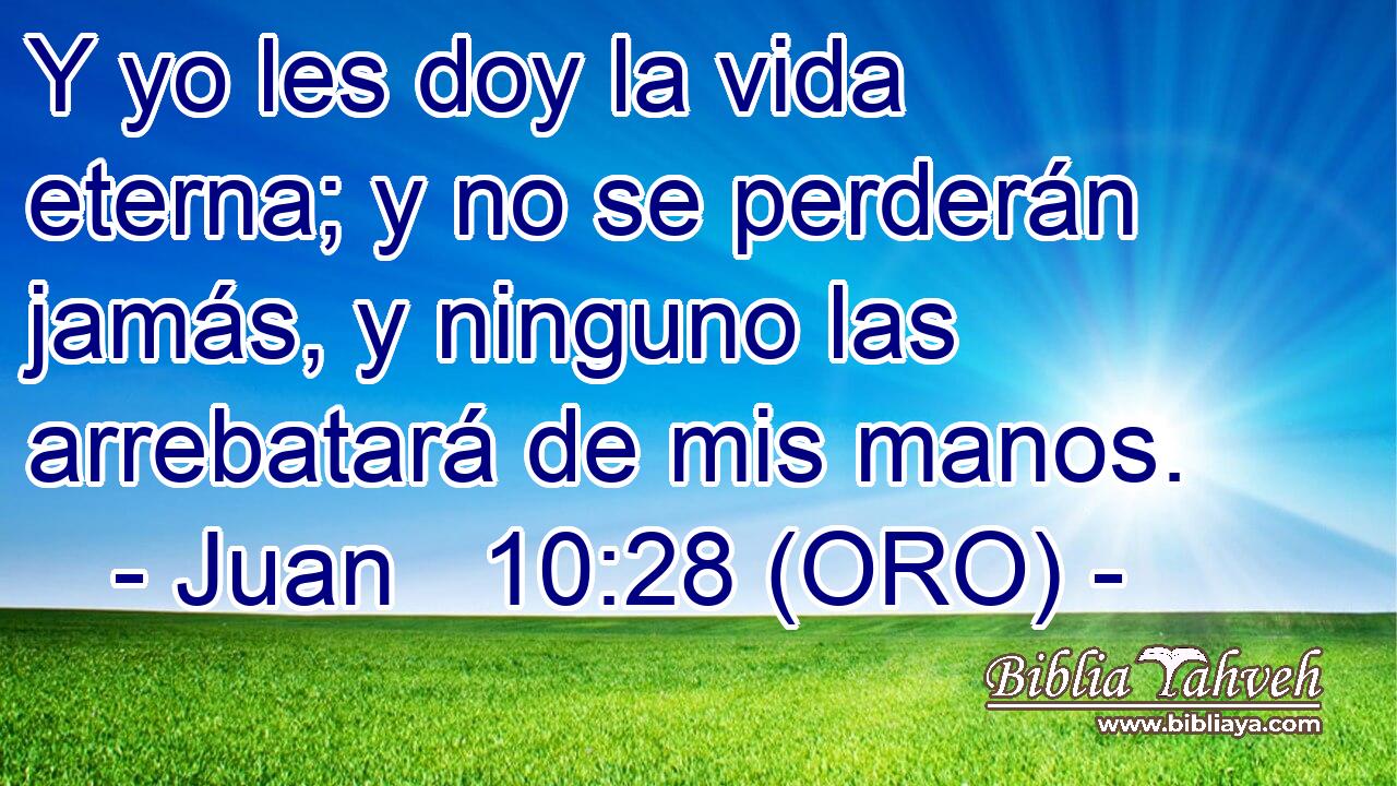  Y yo les doy la vida eterna; y no se perderán jamás, y ninguno las arrebatará de mis manos. 