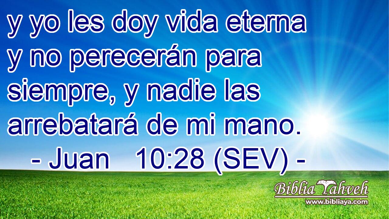 y yo les doy vida eterna y no perecerán para siempre, y nadie las arrebatará de mi mano.
