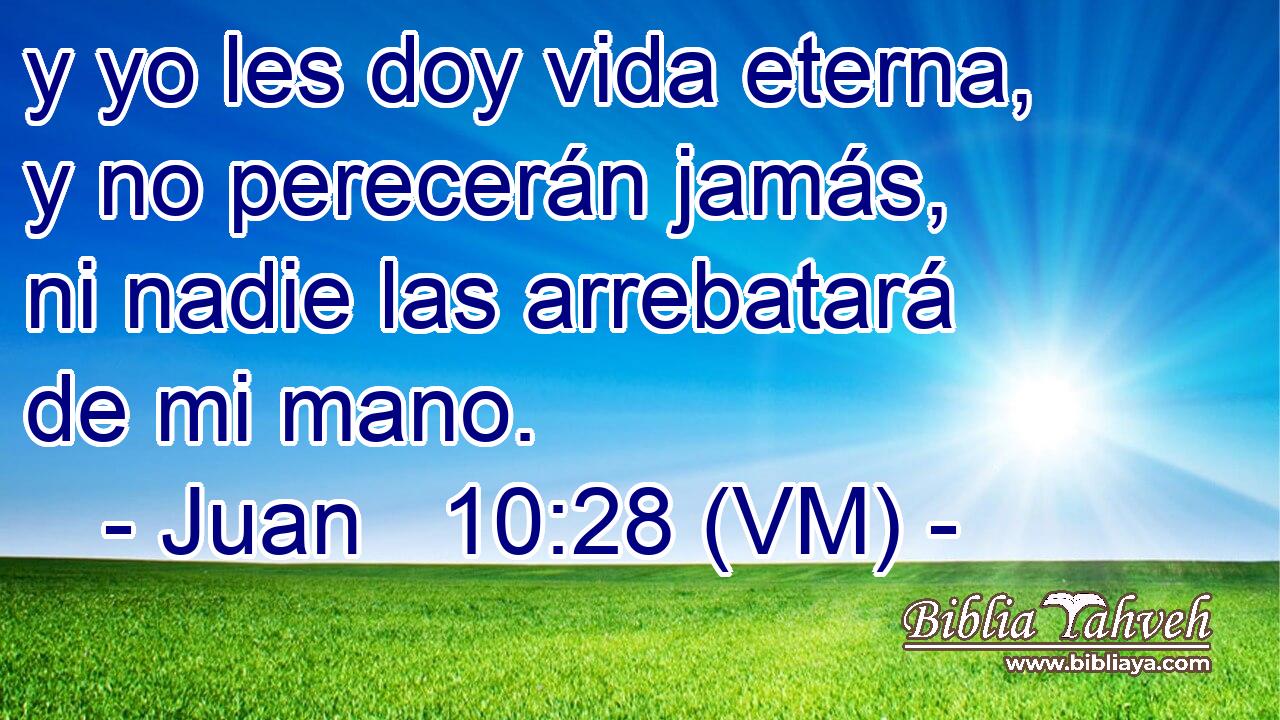  y yo les doy vida eterna, y no perecerán jamás, ni nadie las arrebatará de mi mano. 
