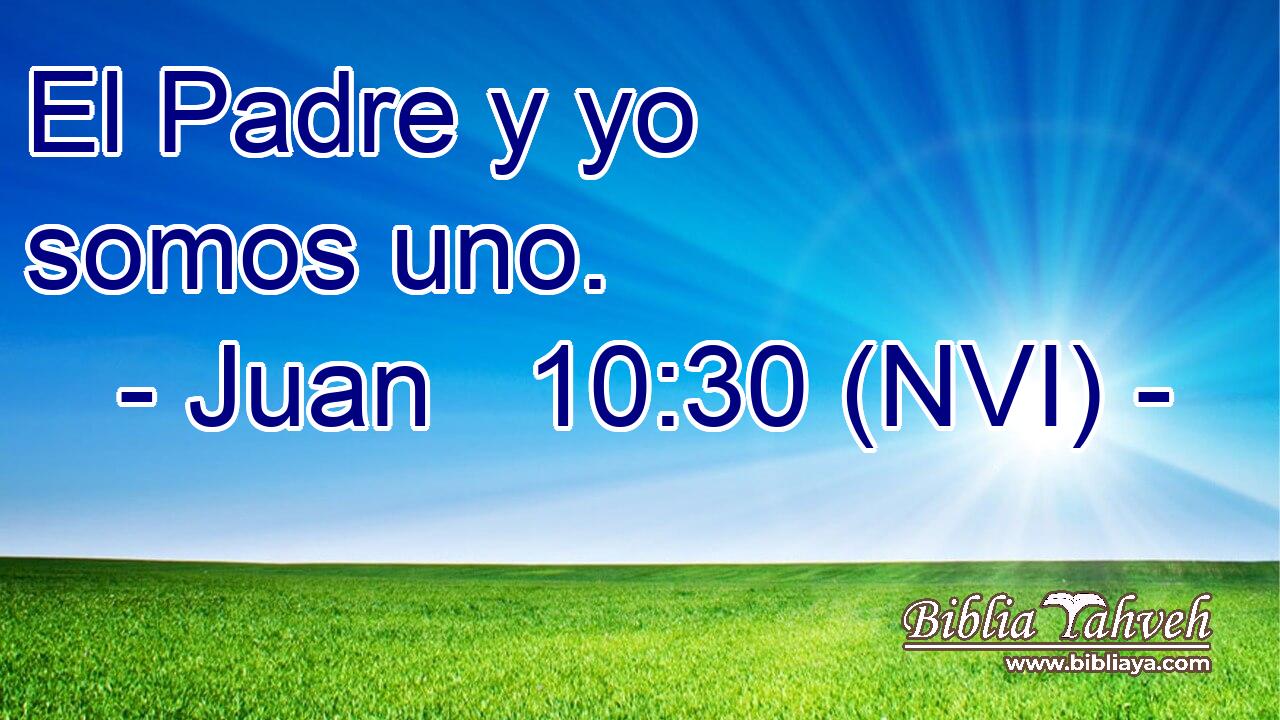 Juan 10:30 (NVI) - El Padre y yo somos uno. ...