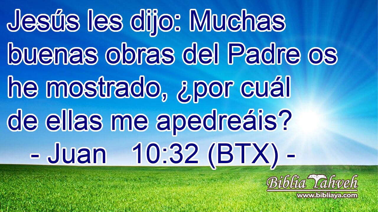Jesús les dijo: Muchas buenas obras del Padre os he mostrado, ¿por cuál de ellas me apedreáis?