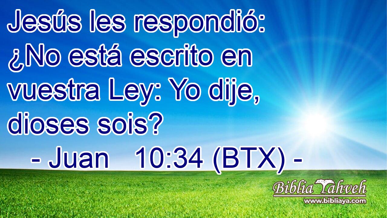 Jesús les respondió: ¿No está escrito en vuestra Ley: Yo dije, dioses sois?
