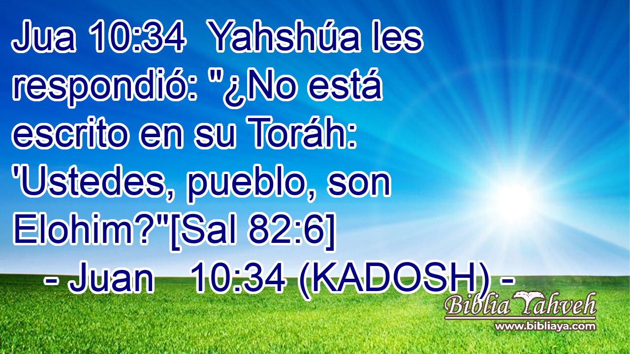  Yahshúa les respondió: 