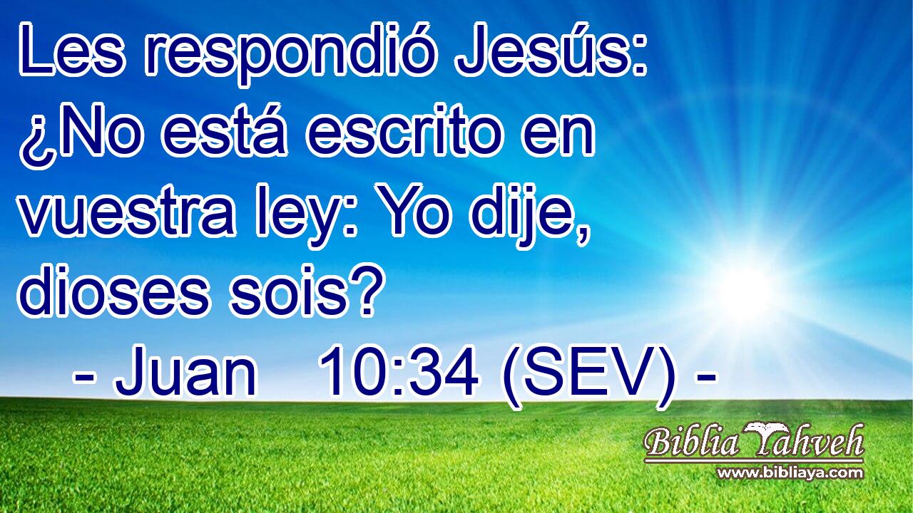 Les respondió Jesús: ¿No está escrito en vuestra ley: Yo dije, dioses sois?