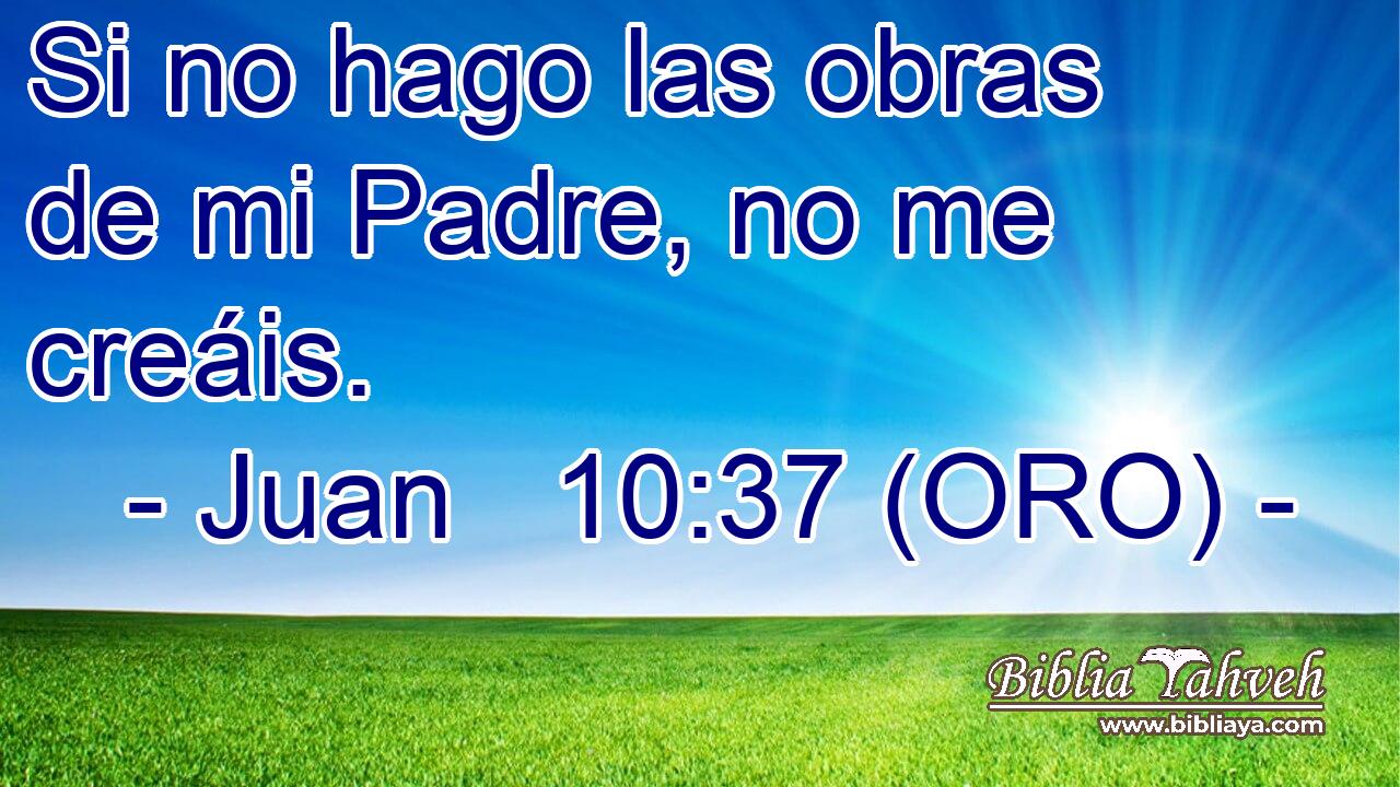  Si no hago las obras de mi Padre, no me creáis. 