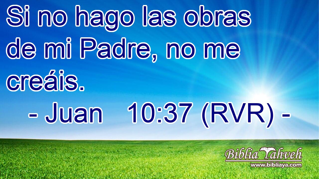 Si no hago las obras de mi Padre, no me creáis.