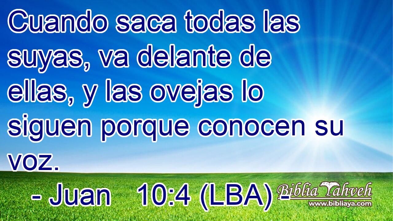 Cuando saca todas las suyas, va delante de ellas, y las ovejas lo siguen porque conocen su voz.