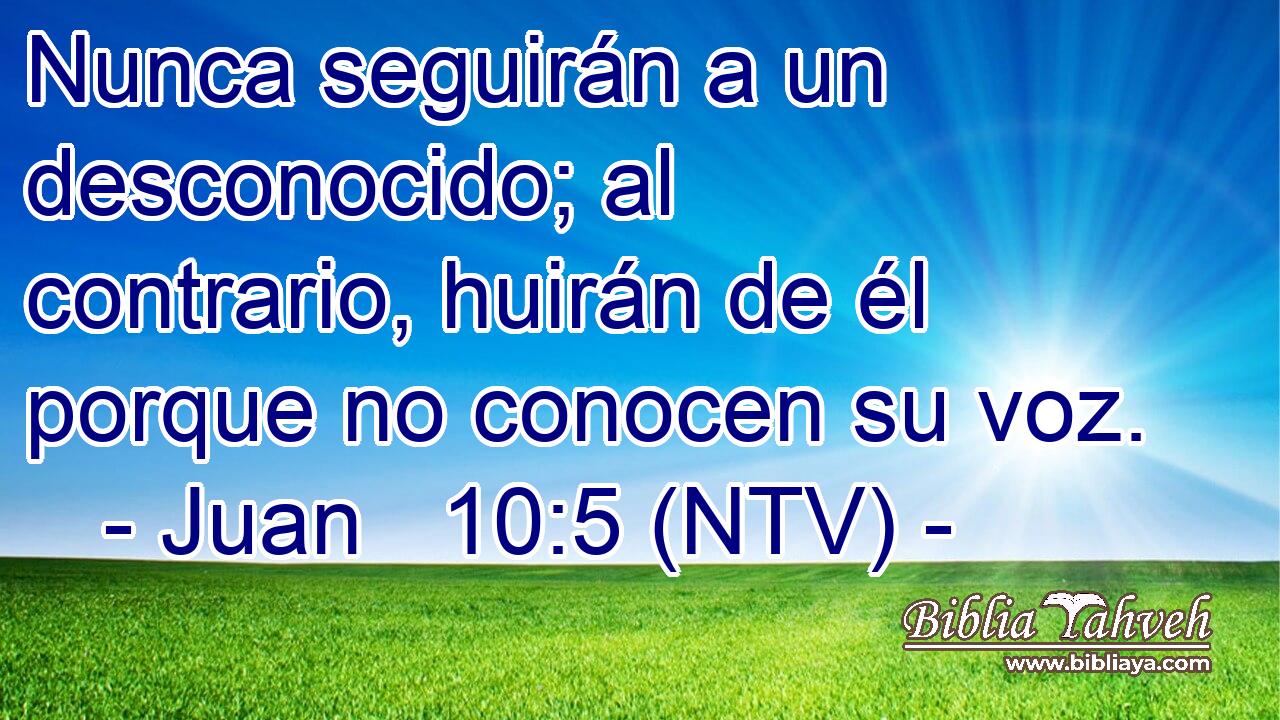 Nunca seguirán a un desconocido; al contrario, huirán de él porque no conocen su voz.