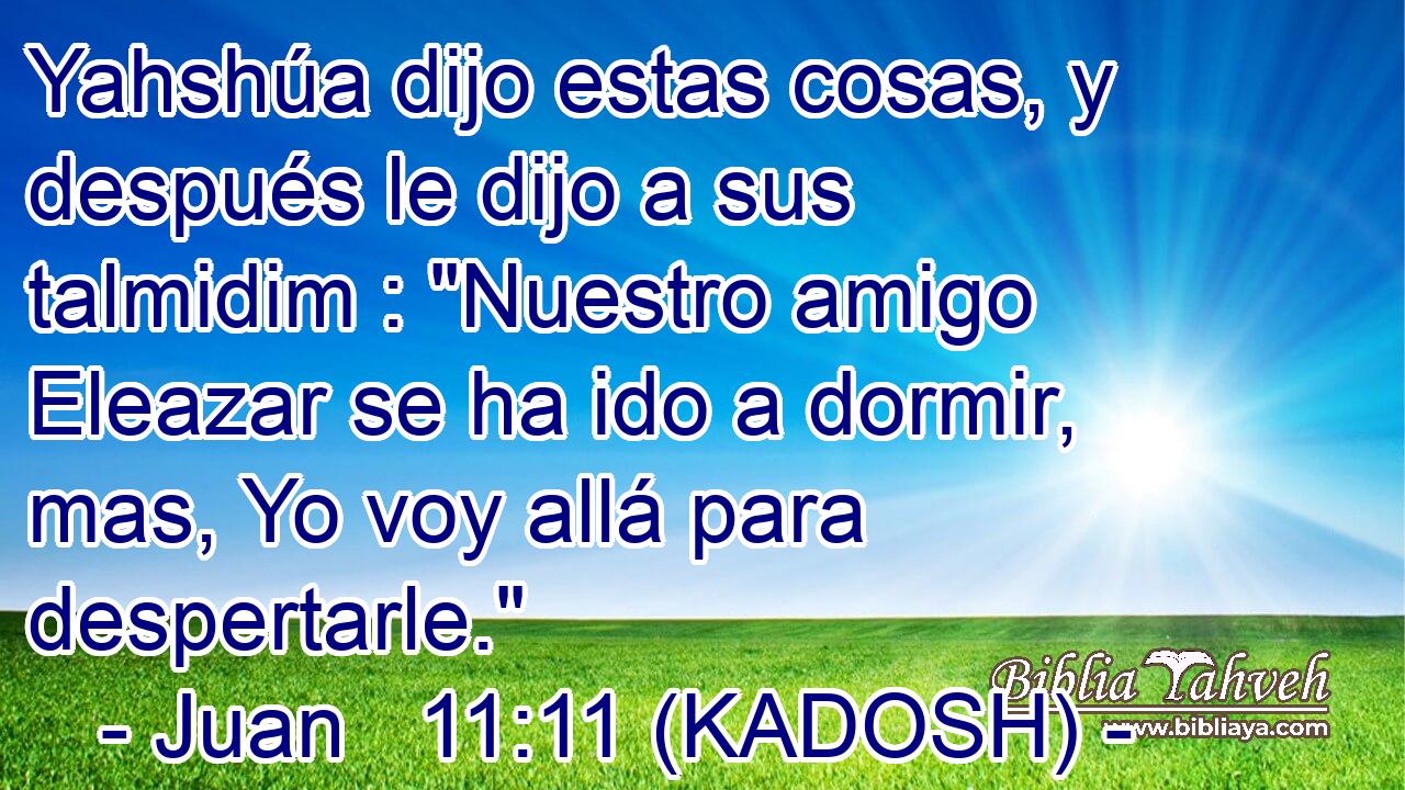  Yahshúa dijo estas cosas, y después le dijo a sus talmidim : 