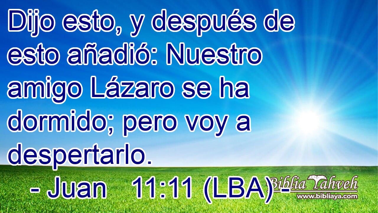 Dijo esto, y después de esto añadió: Nuestro amigo Lázaro se ha dormido; pero voy a despertarlo.