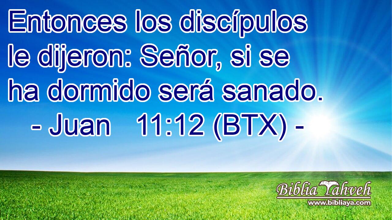 Entonces los discípulos le dijeron: Señor, si se ha dormido será sanado.