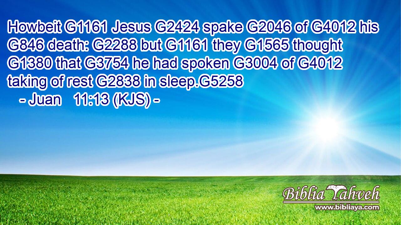 Howbeit G1161 Jesus G2424 spake G2046 of G4012 his G846 death: G2288 but G1161 they G1565 thought G1380 that G3754 he had spoken G3004 of G4012 taking of rest G2838 in sleep.G5258