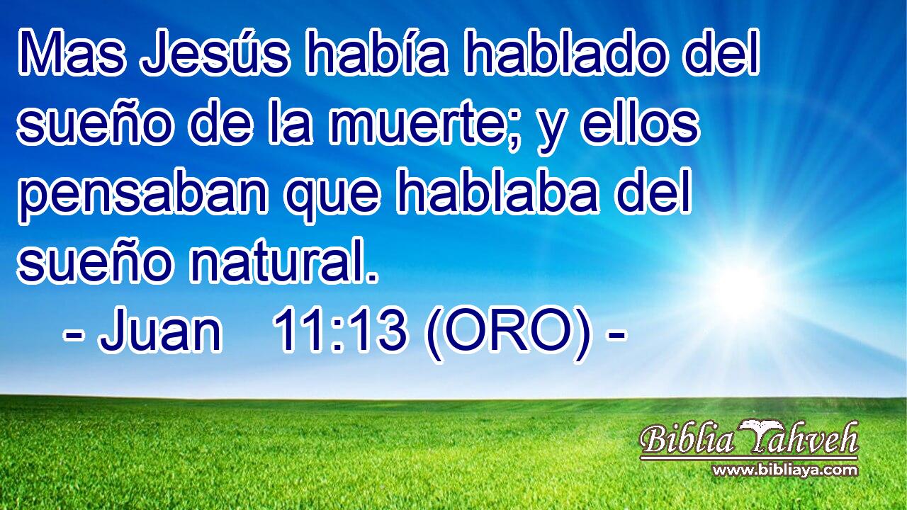  Mas Jesús había hablado del sueño de la muerte; y ellos pensaban que hablaba del sueño natural. 