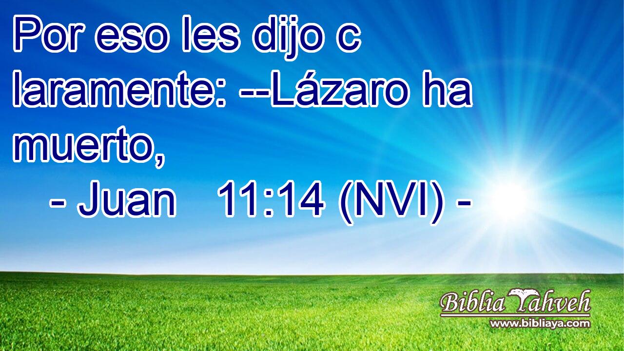  Por eso les dijo c laramente: --Lázaro ha muerto, 