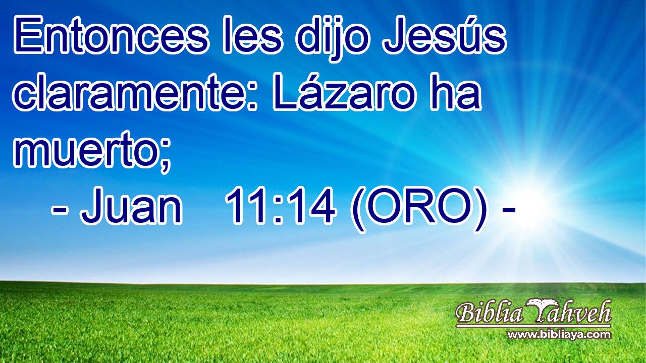  Entonces les dijo Jesús claramente: Lázaro ha muerto; 